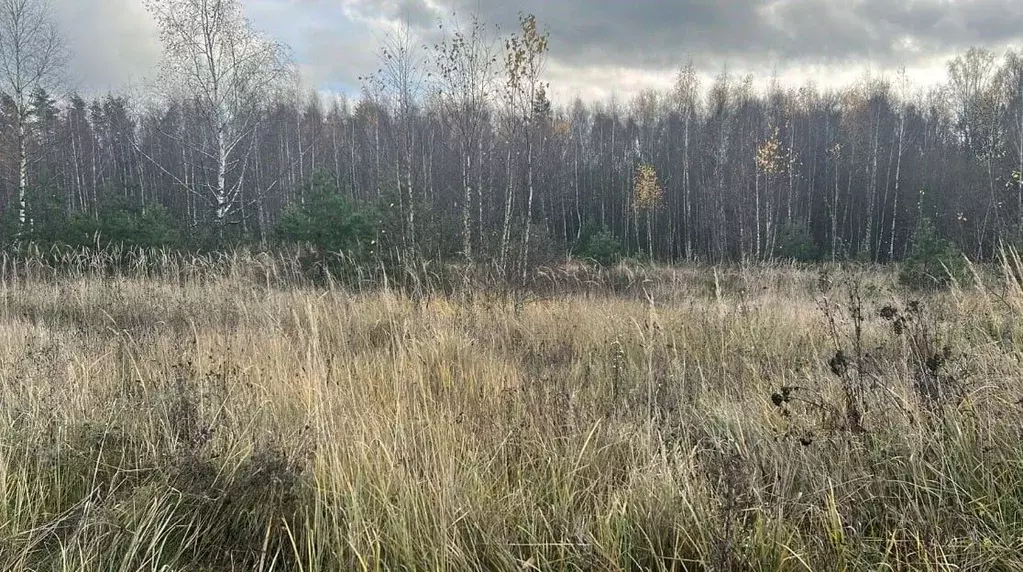 Участок в Московская область, Ступино пер. 1-й Знаменский (14.17 сот.) - Фото 1