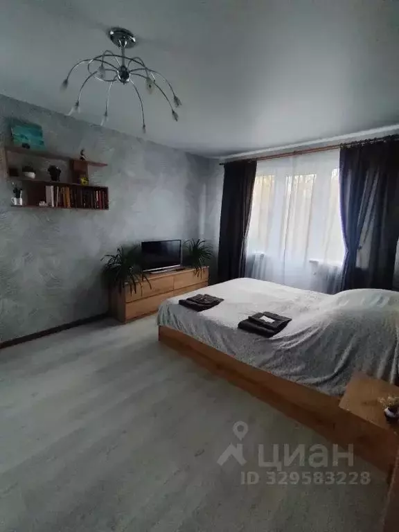 1-к кв. Псковская область, Псков Гражданская ул., 11Б (30.0 м) - Фото 2