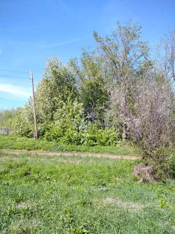 Участок в Оренбургская область, Тюльганский район, Ташлинский ... - Фото 1