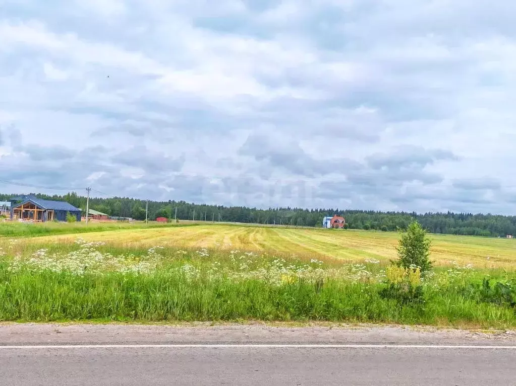 Участок в Ярославская область, Ярославский муниципальный округ, ... - Фото 0