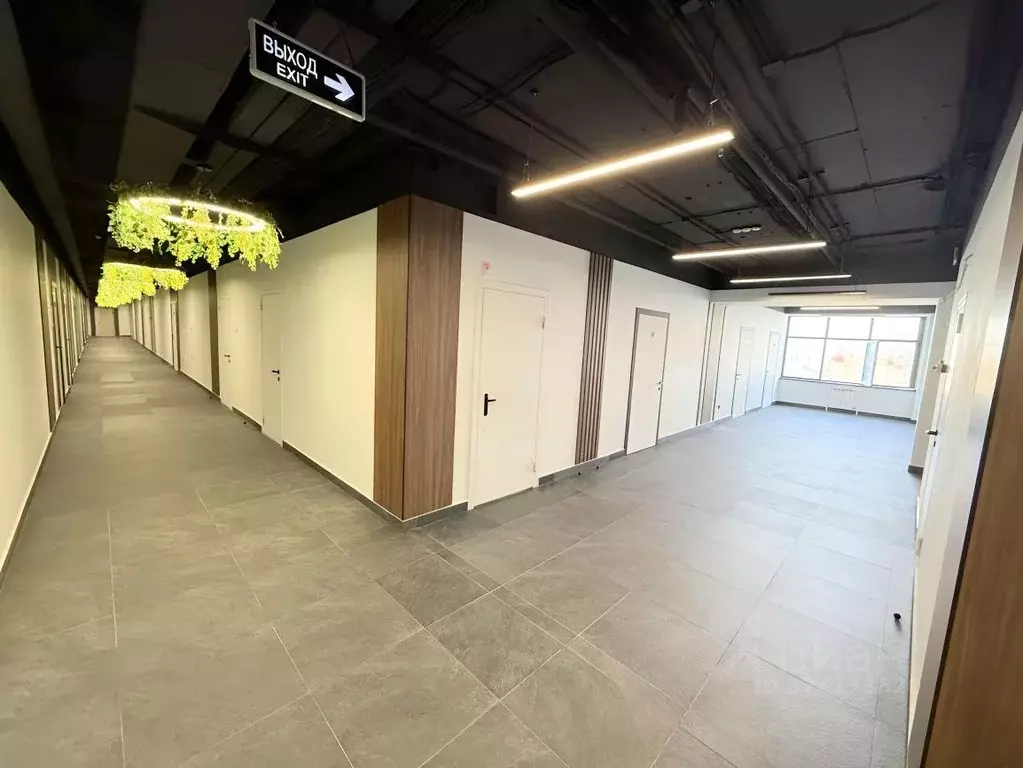 Офис в Омская область, Омск ул. Фрунзе, 1к4 (59 м) - Фото 1