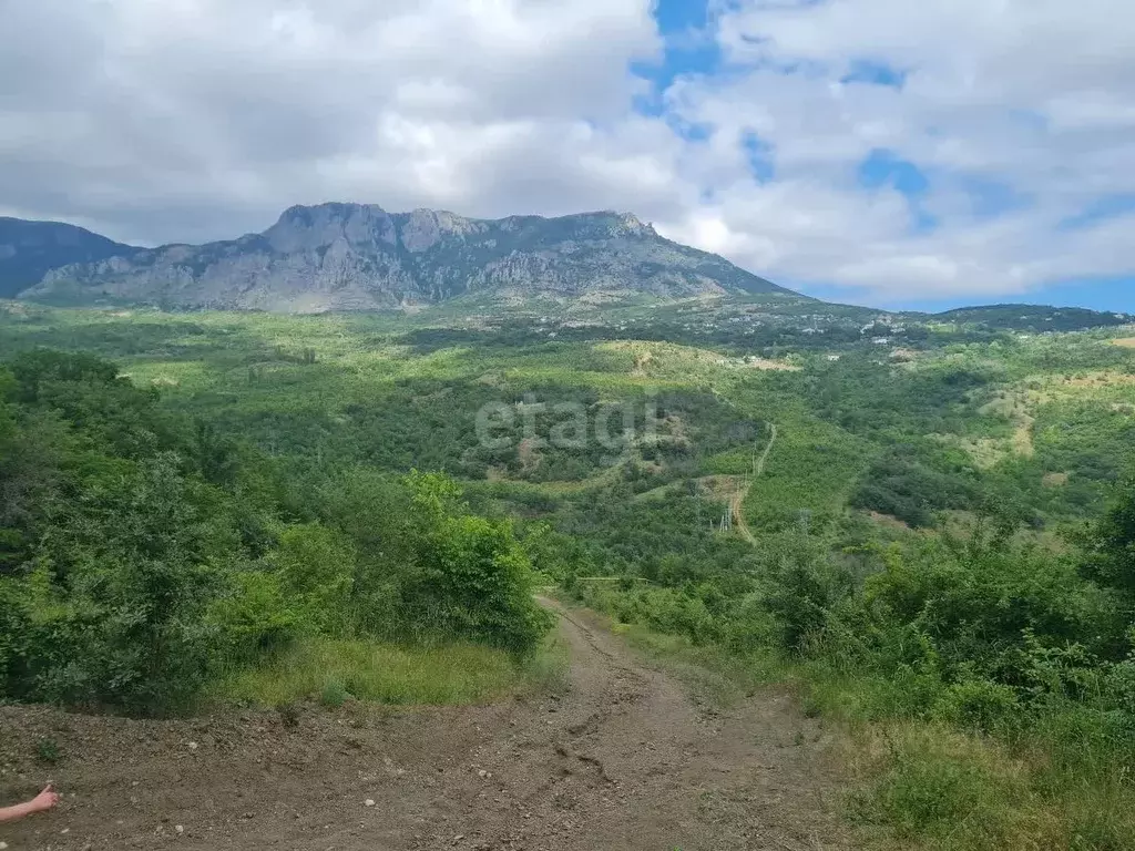 Участок в Крым, Алушта муниципальный округ, с. Лучистое ул. Грушевая, ... - Фото 0