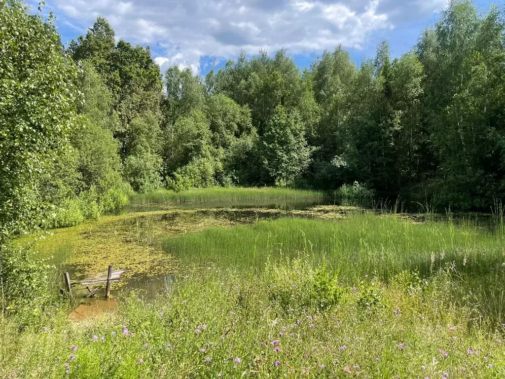 Участок в Московская область, Клин городской округ, д. Тиликтино  ... - Фото 1