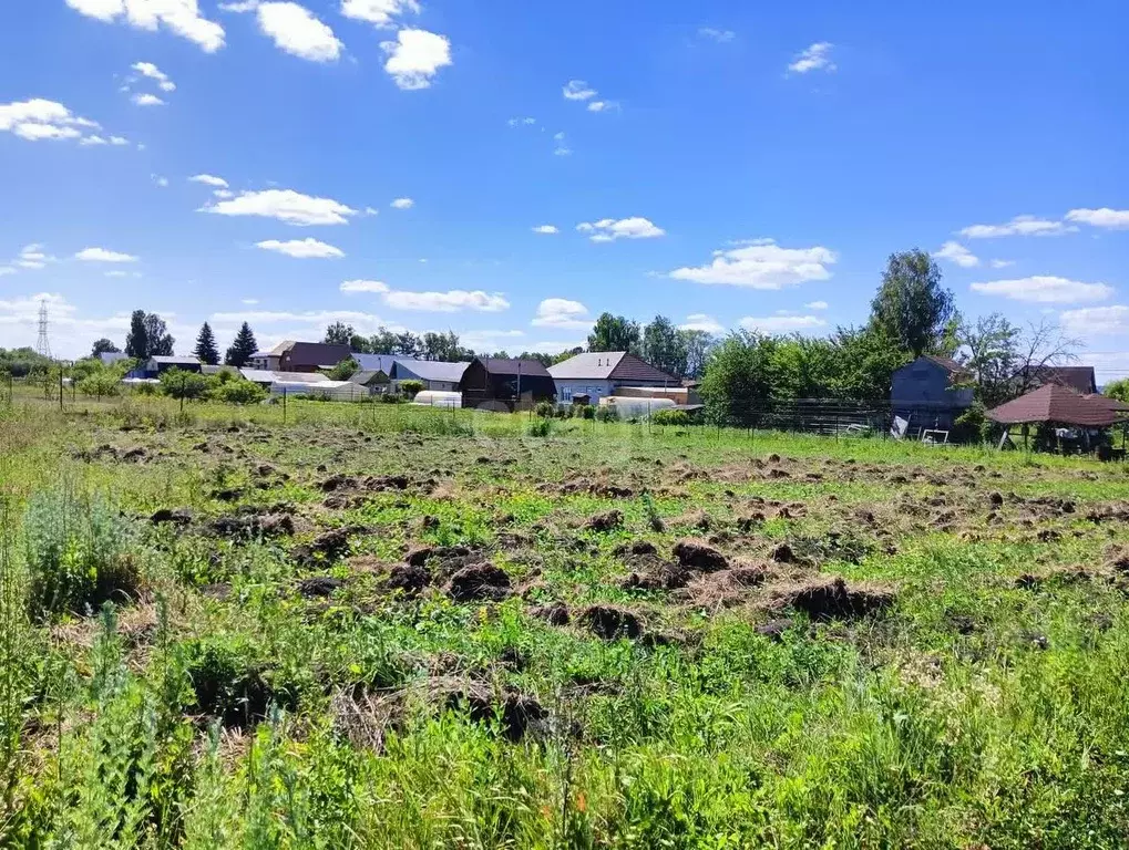 Участок в Мордовия, Саранск городской округ, пос. Пушкино ул. Пушкина ... - Фото 0