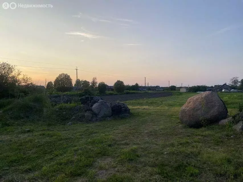 Участок в Рабитицкое сельское поселение, деревня Лиможа (20 м) - Фото 1