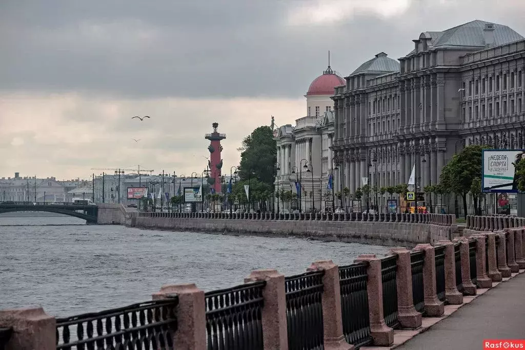 Комната Санкт-Петербург наб. Макарова, 18 - Фото 0