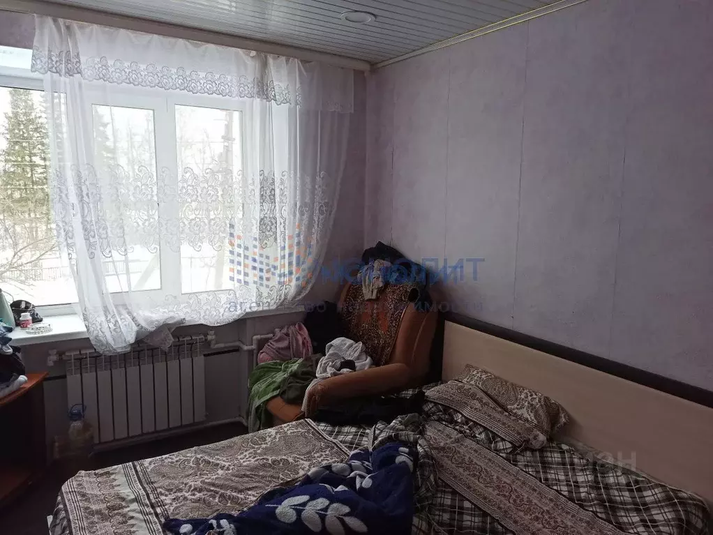 1-к кв. Нижегородская область, с. Гагино ул. Терехина, 28 (30.2 м) - Фото 2