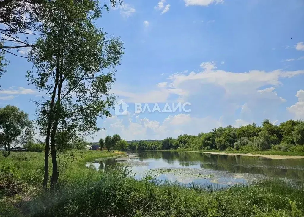 Участок в Воронежская область, Хохольский район, Новогремяченское ... - Фото 1