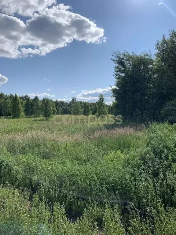 Участок в Тюменская область, Нижнетавдинский район, с. Тюнево  (10.5 ... - Фото 1