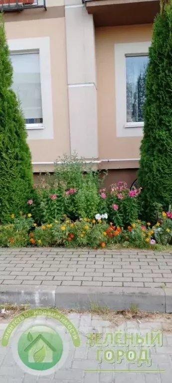 1-к кв. Калининградская область, Зеленоградск ул. Ясная, 12 (29.0 м) - Фото 2