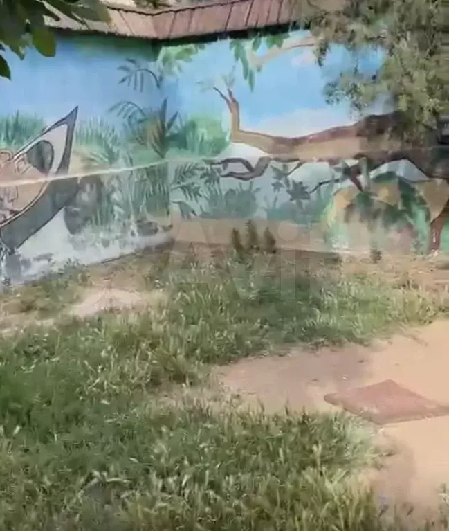 Дом 300 м на участке 10 сот. - Фото 1