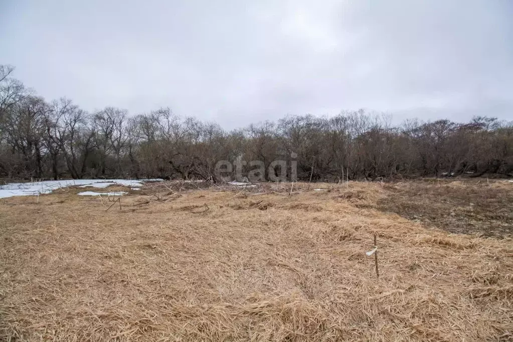 Участок в Сахалинская область, Южно-Сахалинск городской округ, с. ... - Фото 2