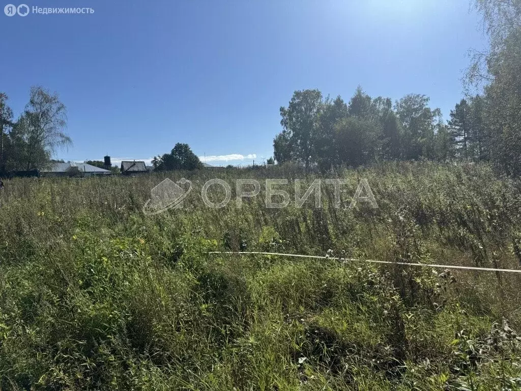 Участок в Тюменский муниципальный округ, КП Новая Горьковка (500 м) - Фото 2