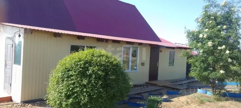 Дом в Забайкальский край, Чита с. Застепь, Зеленый пер. (65 м) - Фото 2