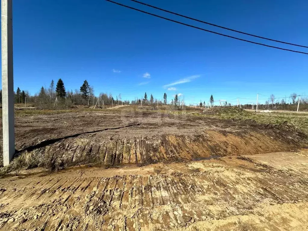 Участок в Ленинградская область, Всеволожский район, Агалатовское ... - Фото 0