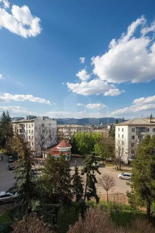 1-к кв. Ставропольский край, Кисловодск проезд Цандера (27.5 м) - Фото 2