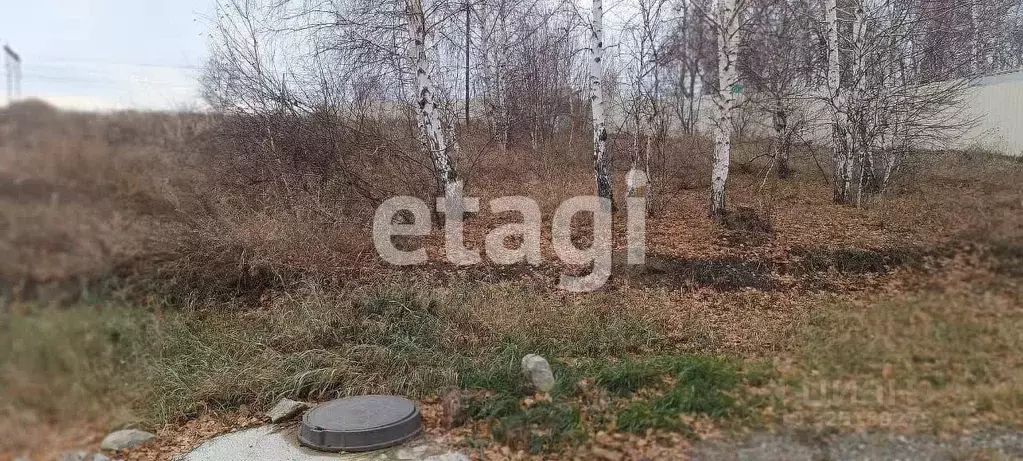 Участок в Красноярский край, Емельяновский муниципальный округ, Луч ... - Фото 1