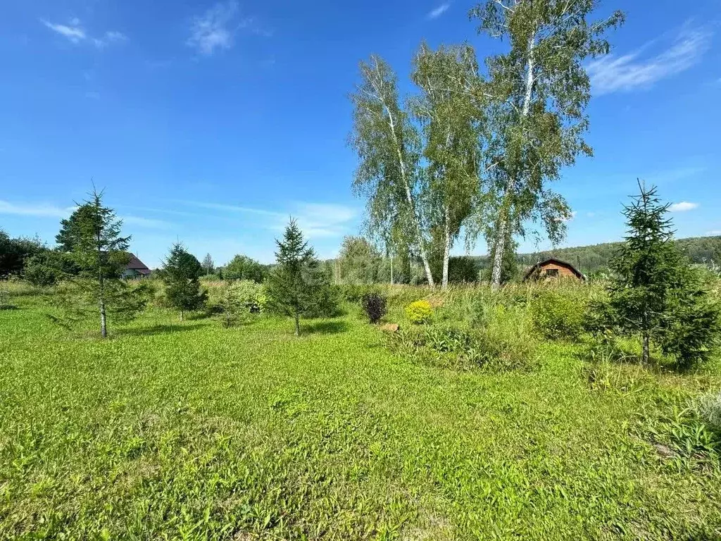 Участок в Новосибирская область, Новосибирский район, Барышевский ... - Фото 1