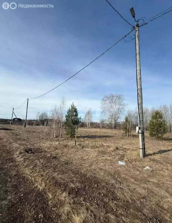 Участок в Томский район, Калтайское сельское поселение, садоводческое ... - Фото 2