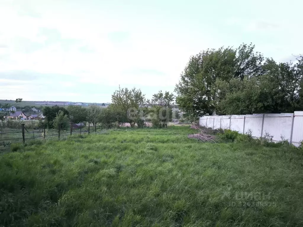 Участок в Белгородская область, Губкинский городской округ, с. Теплый ... - Фото 1