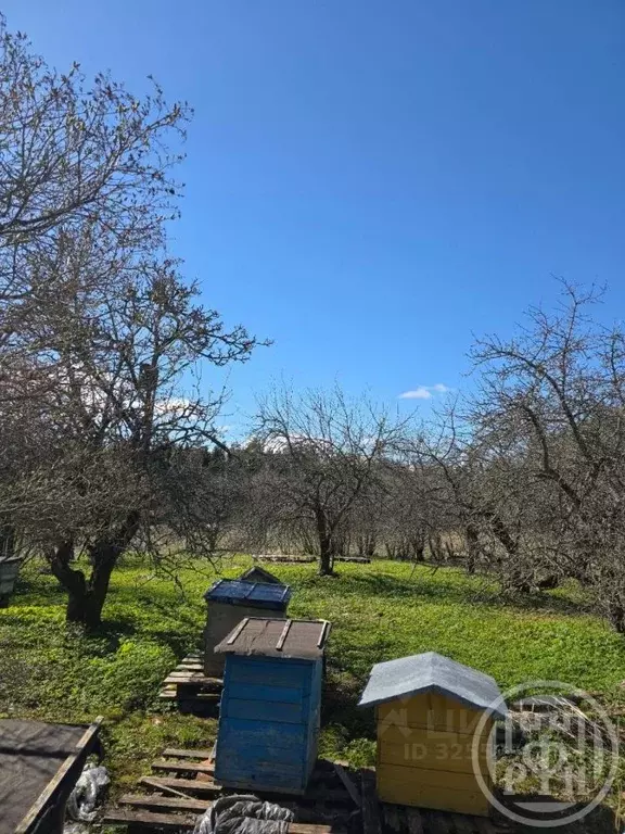 Участок в Ленинградская область, Приозерский район, Ларионовское ... - Фото 2
