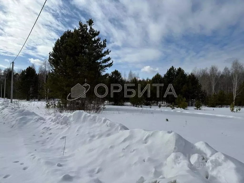 Участок в Тюменская область, Нижнетавдинский район, с. Тюнево  (15.0 ... - Фото 0