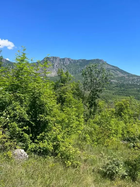 Участок в Крым, Алушта городской округ, пос. Лаванда  (10.0 сот.) - Фото 0