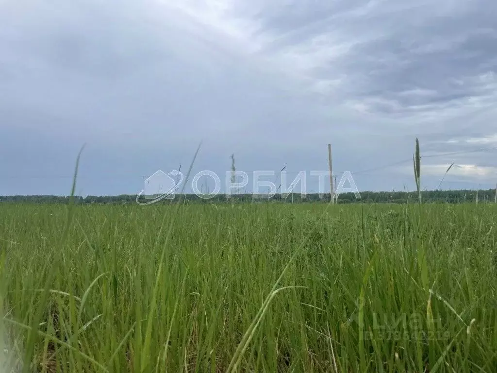 Участок в Тюменская область, Тюменский район, д. Коняшина  (4.84 сот.) - Фото 1