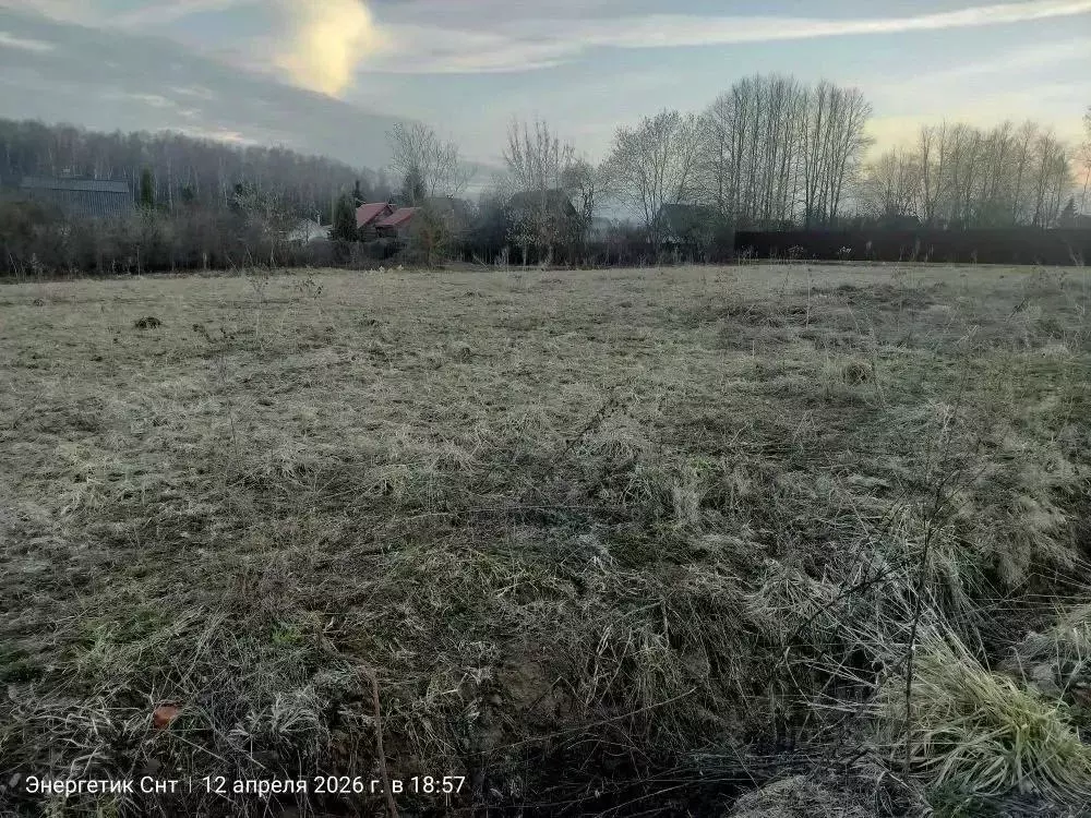 Участок, 8 сот., поселения (ижс) - Фото 2