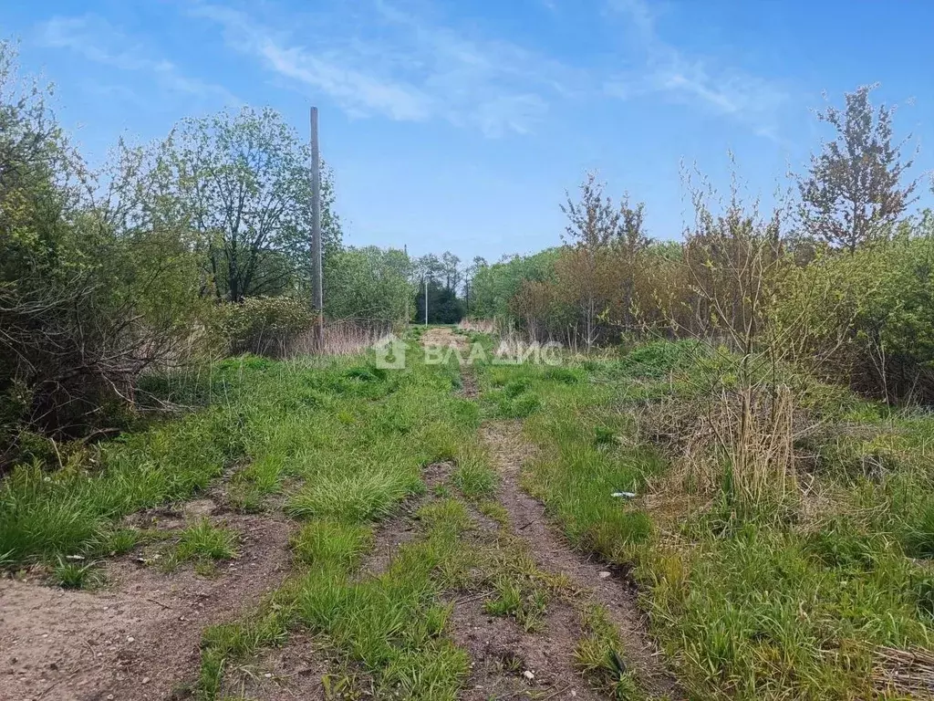 Участок в Калининградская область, Калининград Балтиец СНТ, проезд ... - Фото 2