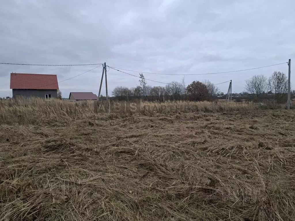 Участок в Новгородская область, Новгородский район, Ракомское с/пос, ... - Фото 2