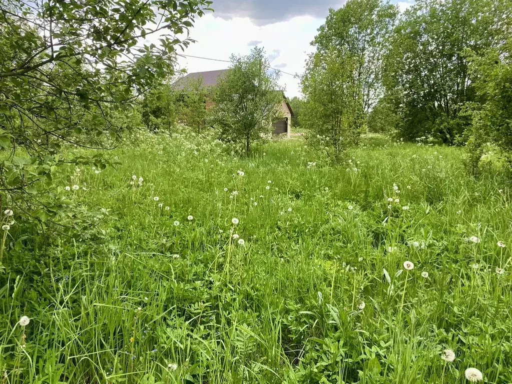 Участок в Владимирская область, Александровский муниципальный округ, ... - Фото 2