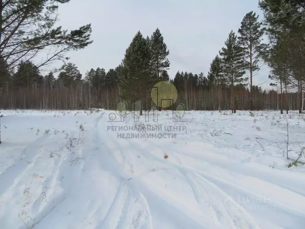 Участок в Иркутская область, Иркутский муниципальный округ, Михалево ... - Фото 2