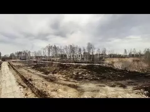 Участок 11 сот. (СНТ, ДНП) - Фото 1