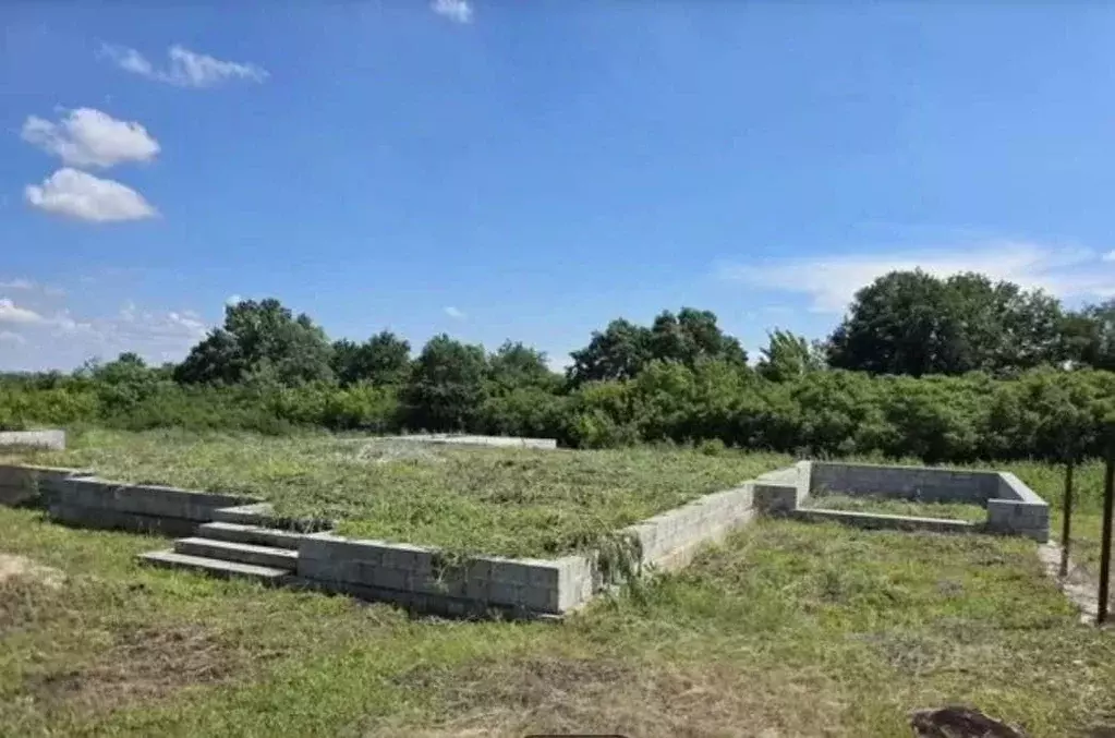 Участок в Белгородская область, Белгородский муниципальный округ, с. ... - Фото 2
