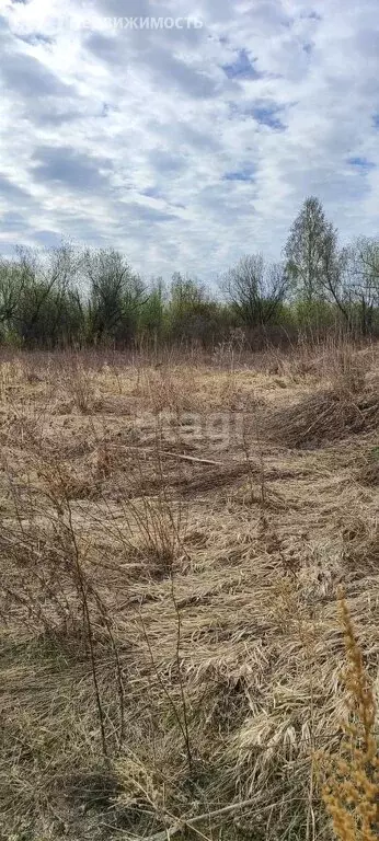 Участок в Каменский сельсовет, ДНТ Содружество (10.2 м) - Фото 0