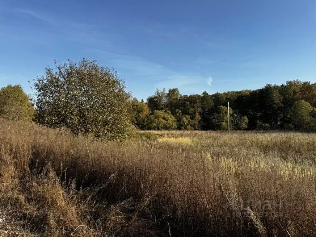 Участок в Московская область, Домодедово городской округ, с. ... - Фото 2