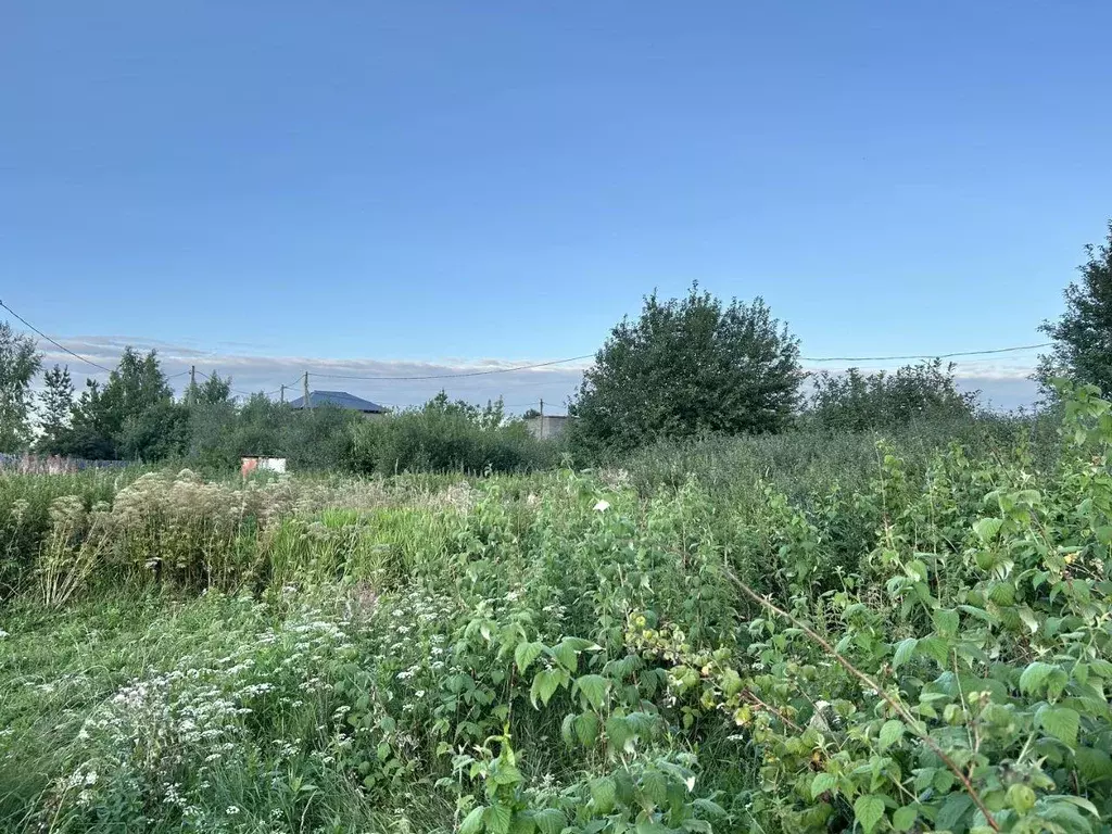 Участок, 5 сот., сельхоз (снт или днп) - Фото 1