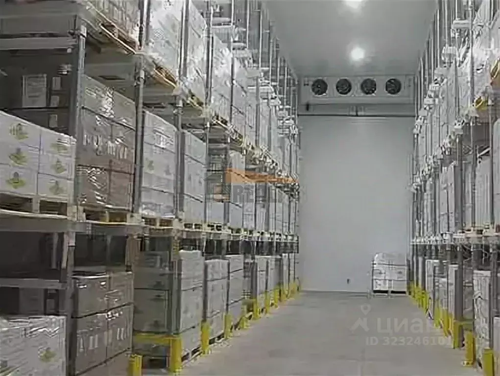 Склад в Московская область, Одинцово Западная ул., 7 (330 м) - Фото 2