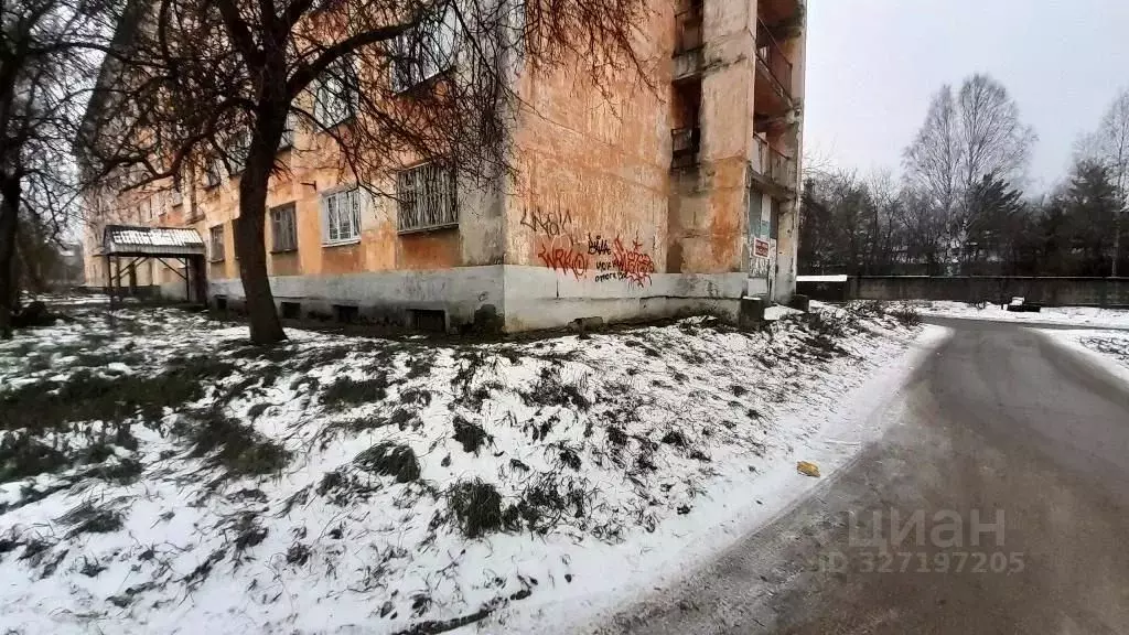 Помещение свободного назначения в Пермский край, Лысьва ул. Смышляева, ... - Фото 2