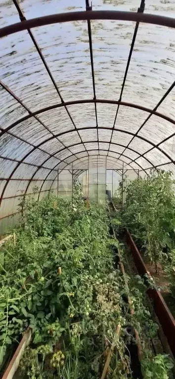 Дом в Ханты-Мансийский АО, Сургут Черемушки СТ, 2-я линия (104 м) - Фото 1