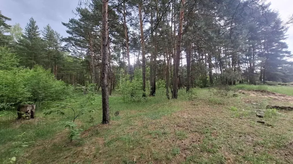 Участок в Московская область, Ступино городской округ, с. Лужники ул. ... - Фото 2