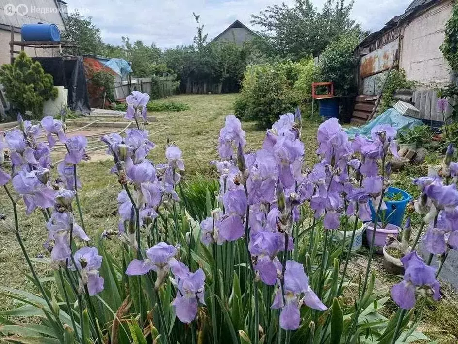 Участок в Нальчик, улица Суворова, 256 (7 м) - Фото 1