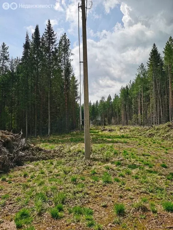 Дом в Свердловская область, муниципальный округ Ревда, село Мариинск, ... - Фото 1