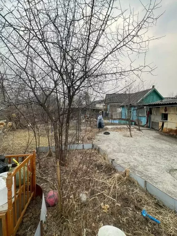 Дом в Арсеньев, улица Котовского, 8А (33.7 м) - Фото 1