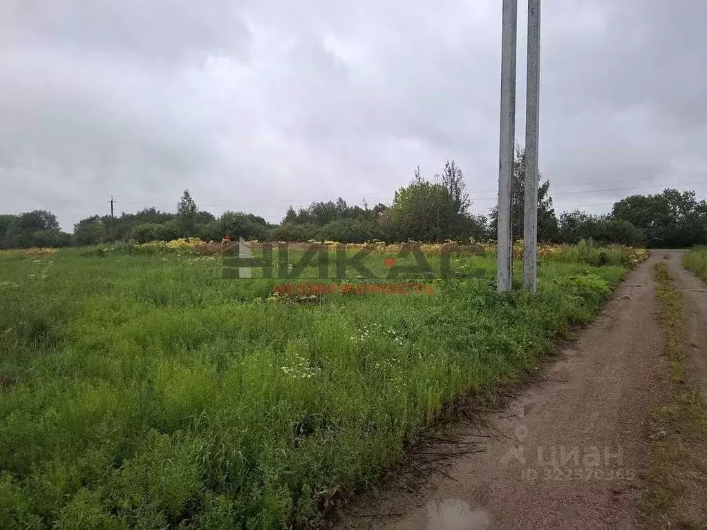 Участок в Ярославская область, Ярославский муниципальный округ, д. ... - Фото 2