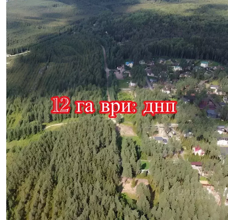 Участок в Ленинградская область, Всеволожское городское поселение  ... - Фото 1