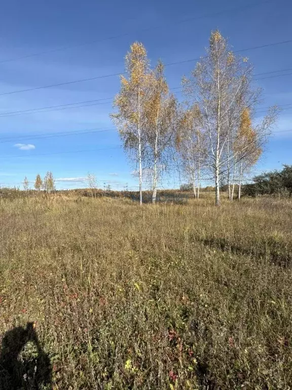 Участок в Нижегородская область, Нижний Новгород Рассвет СНТ,  (8.0 ... - Фото 1
