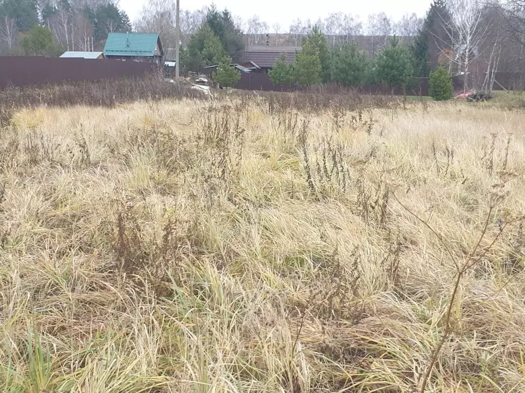 Участок в Московская область, Ступино городской округ, с. Новоселки  ... - Фото 0