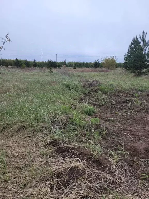 Участок в Татарстан, Нижнекамский район, Каенлинское с/пос, с. Борок ... - Фото 2